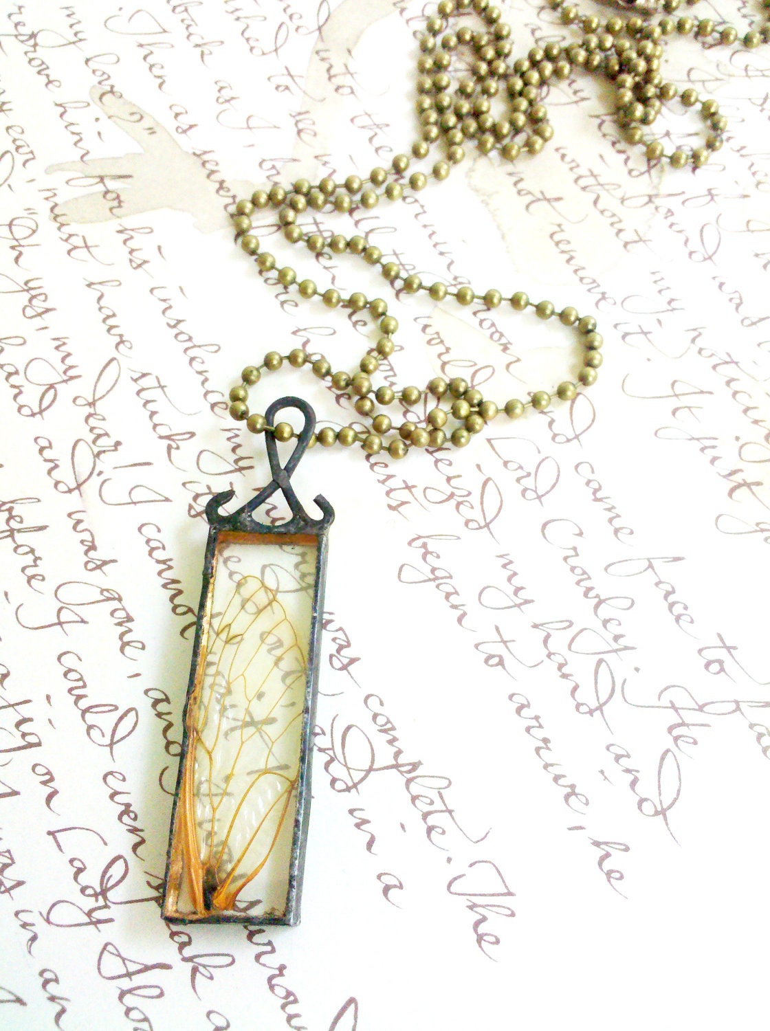 Fairy Wing Glass Specimen Locust Wing Pendant Necklace