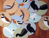 Round Bird Stickers (series 5)--Waterproof Vinyl--Eco Friendly