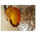 Natural - BALTIC AMBER - Encapsulated Wing