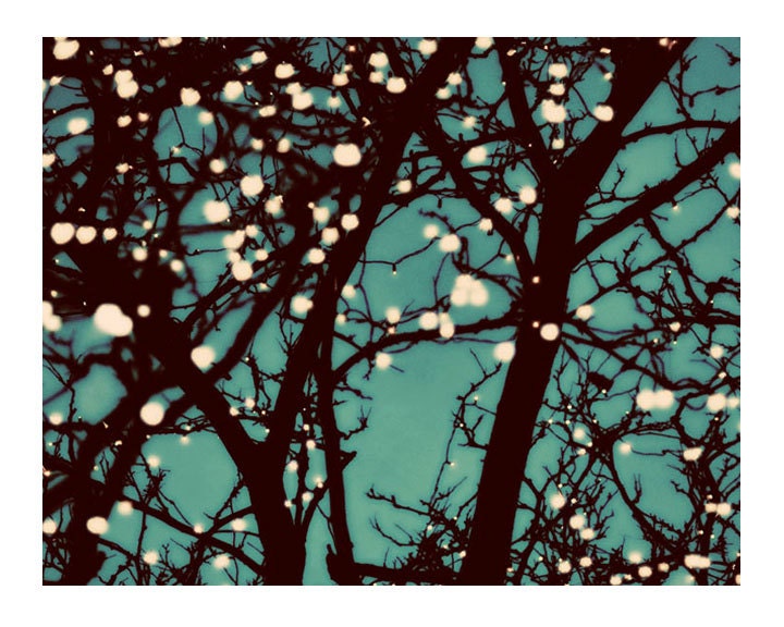 Tree Photo, Night Lights, 5x7 Print, Christmas Lights, Teal Sky, Bare Branches, Nature Photo