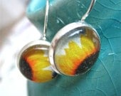 Sunflower Earrings - Polaroid Earrings - Flower Earrings