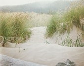 Sand Dunes Beach Photograph, green grass, misty fog, nautical Oregon coast, home decor photo, print, office or loft wall art - 8x10
