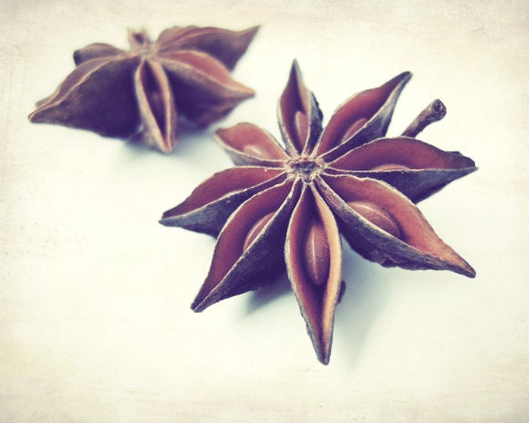Food photography - fresh spices cooking kitchen wall art home decor geometric brown rust neutral 8x10 photograph "Star Anise"