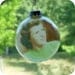 Glass Ball Photo Ornament - Set of 4 Personalized Christmas Ornaments