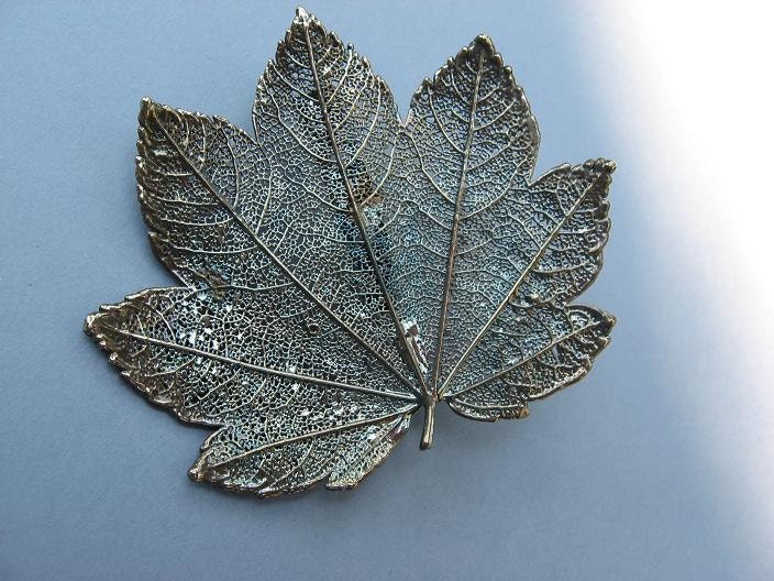 Real Leaf Brooch Pin Pendant -  Oxidized Sterling Silver - Full Moon Maple