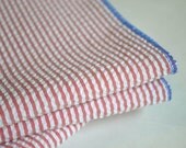 Red Seersucker Cloth Napkins with Blue Edging, 18inch, set of 6 by Dot and Army