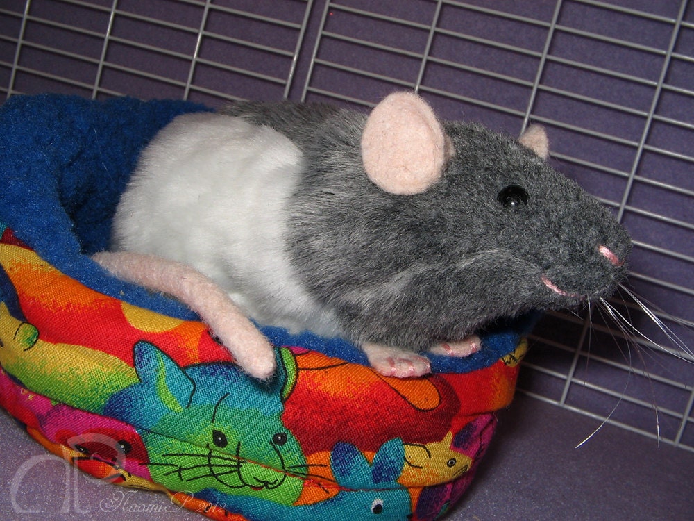 Blue Grey Half-Hooded Rat Plushie