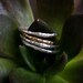 Silver Coral Twig Set