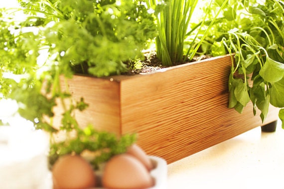 Wood Herb Planter in Clear Grain Cedar