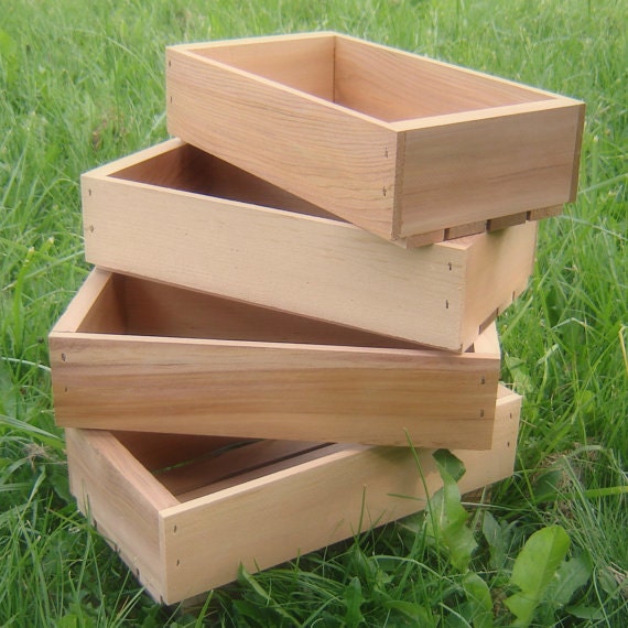 Wood Seed Starting Trays, Medium