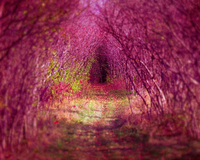 30% OFF Nursery wall art, home decor, fairyland, fairytale, baby girl, wonderland, for girls, honeysuckle pink, violet, playroom