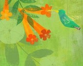 Hummingbird  8x10