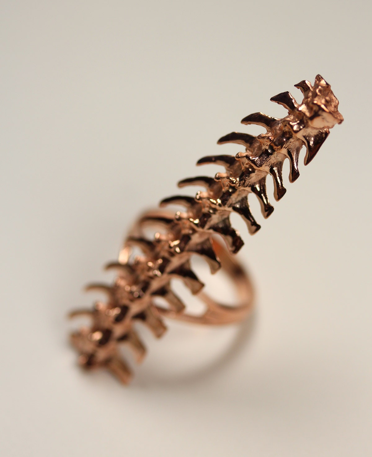 djed. rattlesnake spine ring. rose gold vermeil.