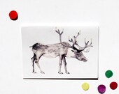 Watercolour, Pen and Ink illustrated blank A5 Card with Envelope - Happy Birthday my Deer