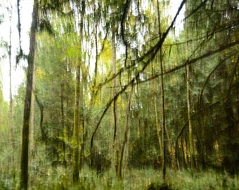 Galiano 2 (Photography, Digital, Canada, Home Decor)