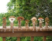 Woody, Little Wood Nature Guy