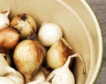 Kitchen Wall Art Bowl Of Onions -Food Print Sepia Brown