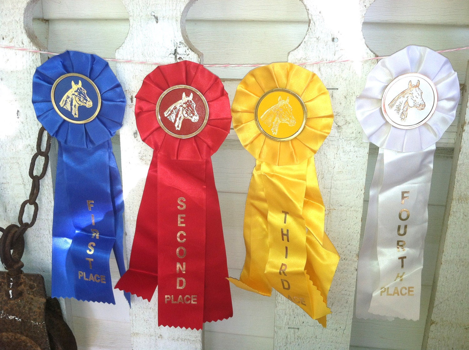 Horse Show Ribbons