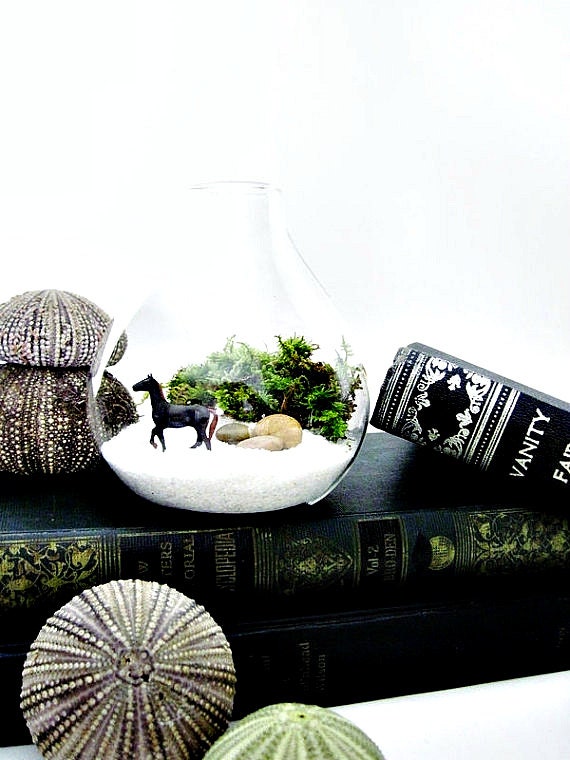 Miniature Wild Horse Terrarium: Horse Lovers Gift for Him in Tear Drop Glass Vase & Live Moss - Black Beauty