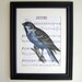 Blue bird print on sheet music