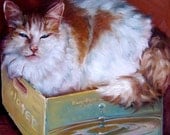 Cat in a Box, CUSTOM Pet Portraits in Oils by puci, 10x12"