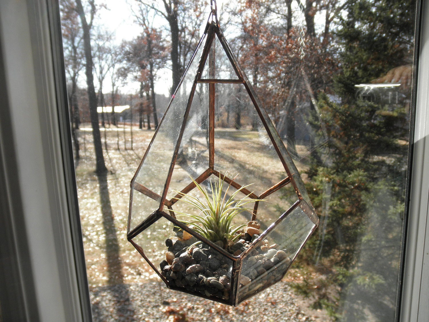 Hanging Glass Terrarium