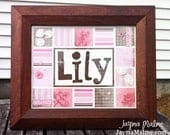 Baby Girl Pink & Brown with Roses Personalized Nursery Name Decor