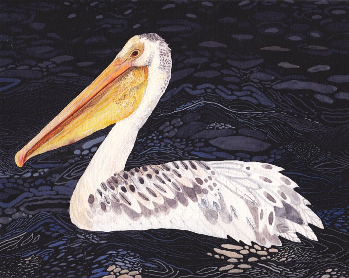Pelican at Night- Archival Print