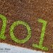 Witty Hand Painted Coir Welcome Mat - hola. - Choose Your Color