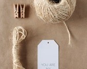 You are my Superhero - set of 5 gift tags