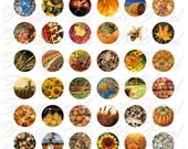 Autumn Harvest - One Inch Circles - INSTANT DOWNLOAD - Digital Collage Sheet