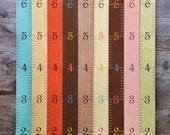 Wooden Ruler Growth Chart - Height Chart - Growth Ruler
