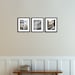 Paris Prints - Romantic rooftops of Montmartre - set of 3 8x10 fine art photograph - soft blue and grey - Paris Photography - Paris wall ar