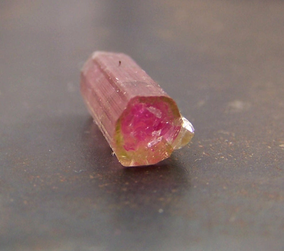 Tourmaline - Watermelon Tourmaline - natural specimen - pink green - bicolor - coyoterainbow - wire wrapping