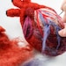 HeartFelt (Anatomical Heart - Human Scale)