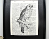 FRAMED Vintage Dictionary Print - Woodland Series - The Perched Owl