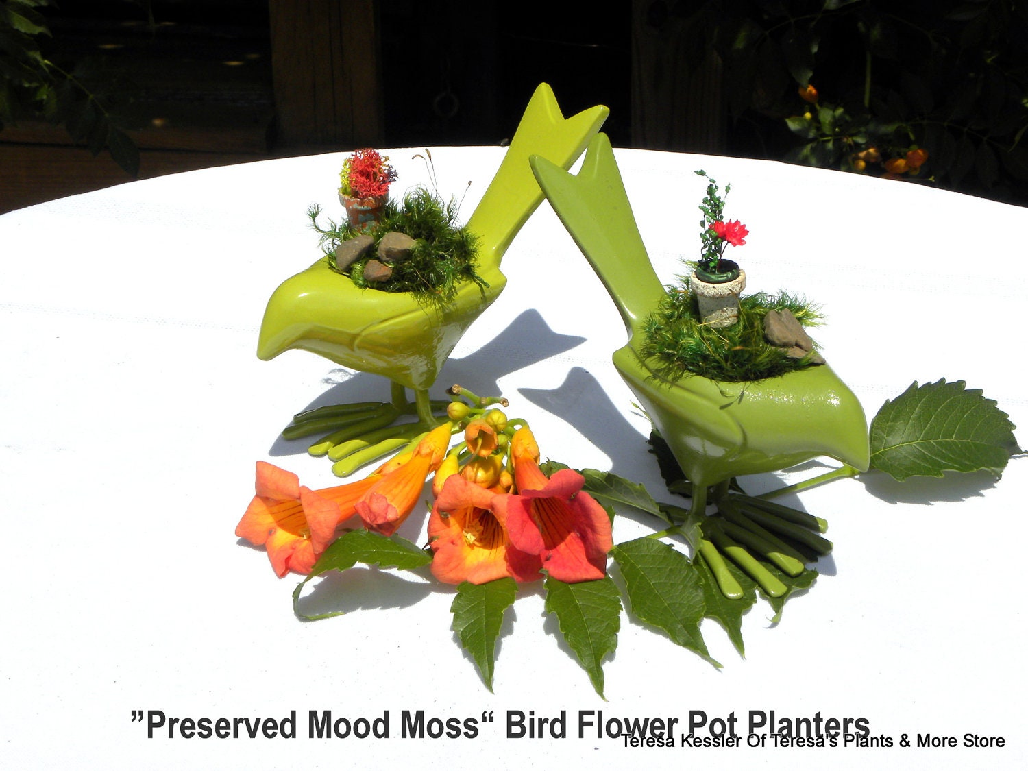 Small Secret Gardens-Mossy Green Metal bird planter-Miniature flower pots in Preserved Mood Moss