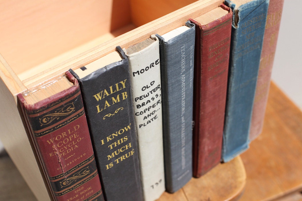 I Know This Much Is True, The Original Modern Library Storage Bin, Stylish Storage for your much-loved clutter