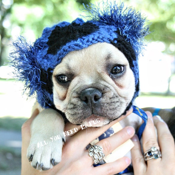 Dog Hat - Custom Snuggly Hat - The Original Pug Hat