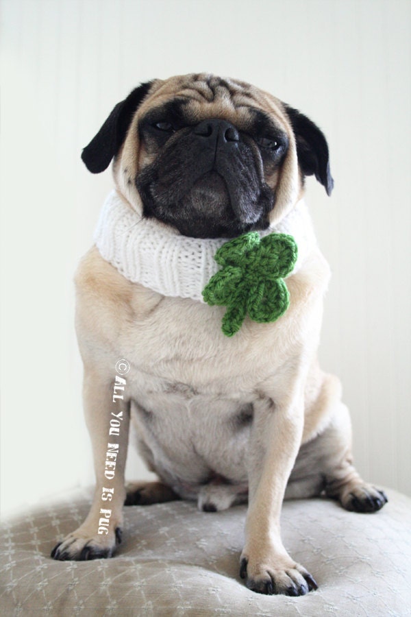 Lucky Clover Knit Collar for Dogs