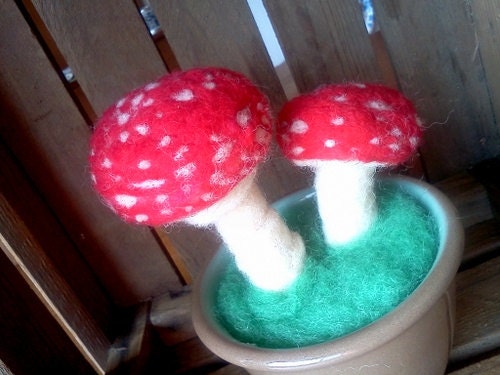 Little Pot O' Mushrooms