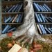Miniature Blue Books --- Insta-Library