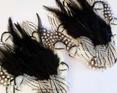 SET OF 5 Import White Lady Amherst Guinea and Hackle Mix Pheasant Feather Pads