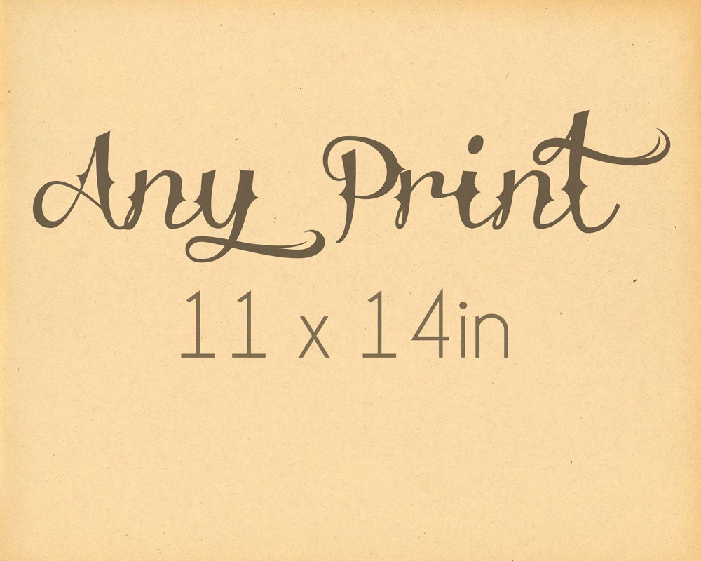 Any 11x14in Print - Your Choice - fine art color archival print