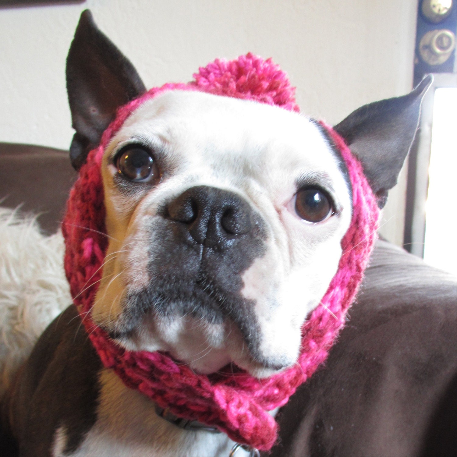 Dog Hat Neon Pink