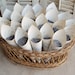 100 - Paper Cones  Wedding Petal Toss Spring Wedding Vintage Sheet Music