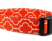 Orange Dog Collar - Tiles in Orange 
