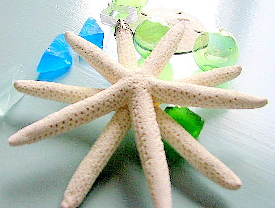 Beach Decor Starfish Christmas Ornament - Nautical Starfish Shell Ornament, 4-6in Double