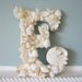 4pc Beach Decor Seashell Letters - Nautical Shell Letters, Choose any 4 in White or Natural