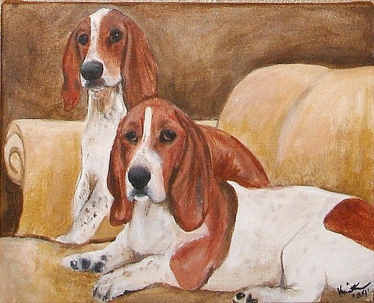 Custom Pet Portrait with Two Pets 12 x 15 by Kristen Dougherty